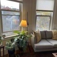 sunny-spacious-sublet-harvard-square--harvard-square-cambridge
