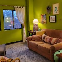 austin-cozy-calming-office-on-spicewood-springs