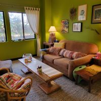 austin-cozy-calming-office-on-spicewood-springs