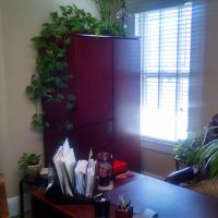 psychoffice.net