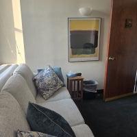 furnished-windows-nice-view-reduced-rent--downtown-brooklyn-brooklyn